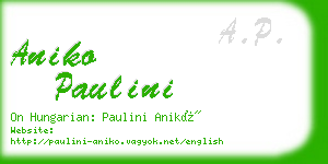 aniko paulini business card